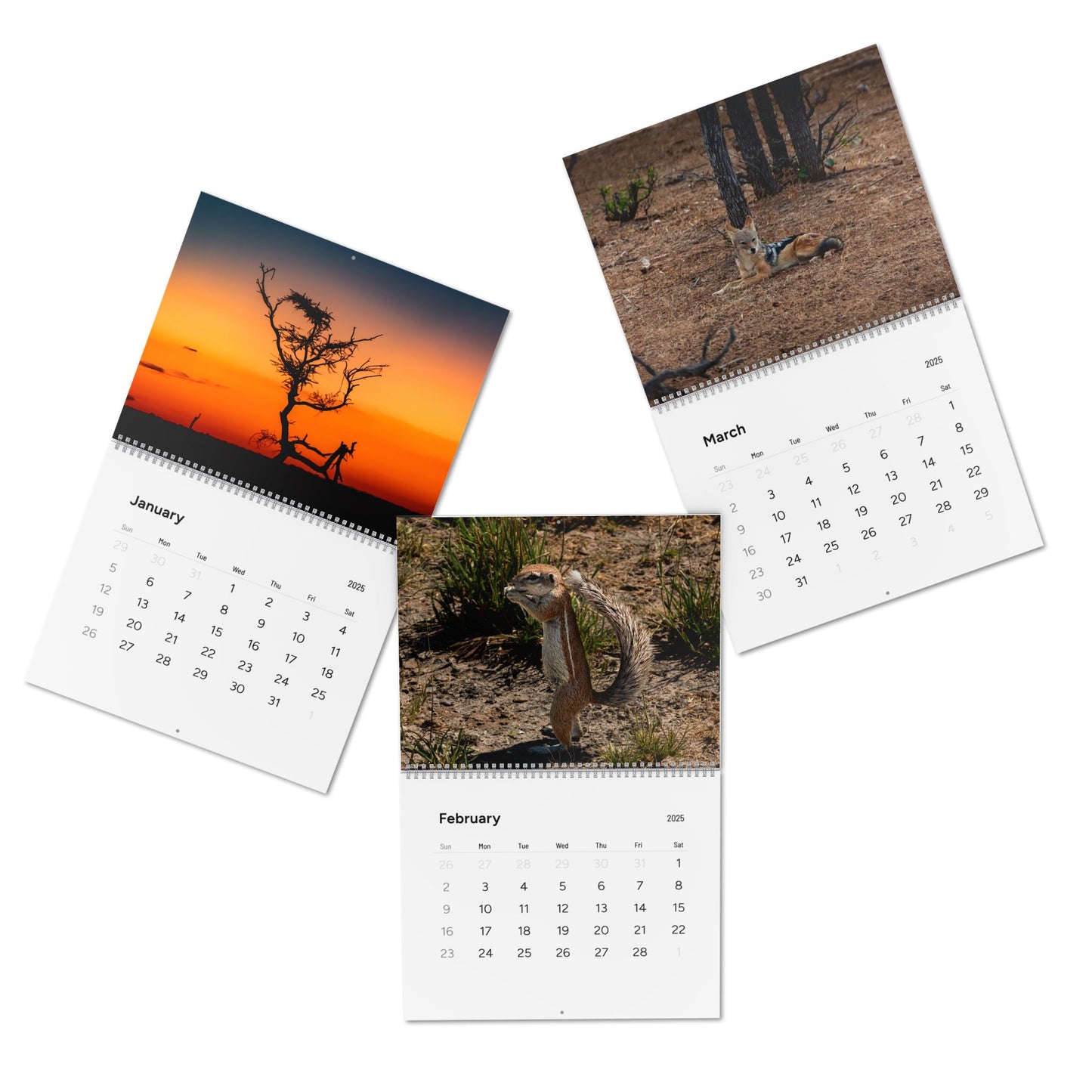 2025 Nature Wildlife Wall Calendar