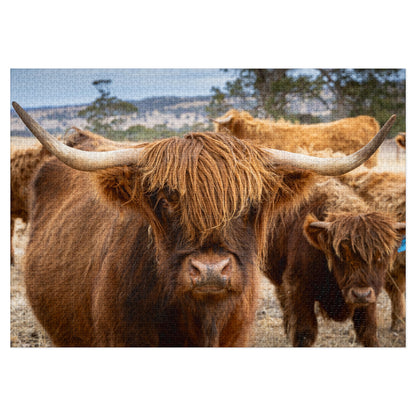 Scottish Highland Cattle Puzzle with Tin 40" x 28" (2000 pcs)