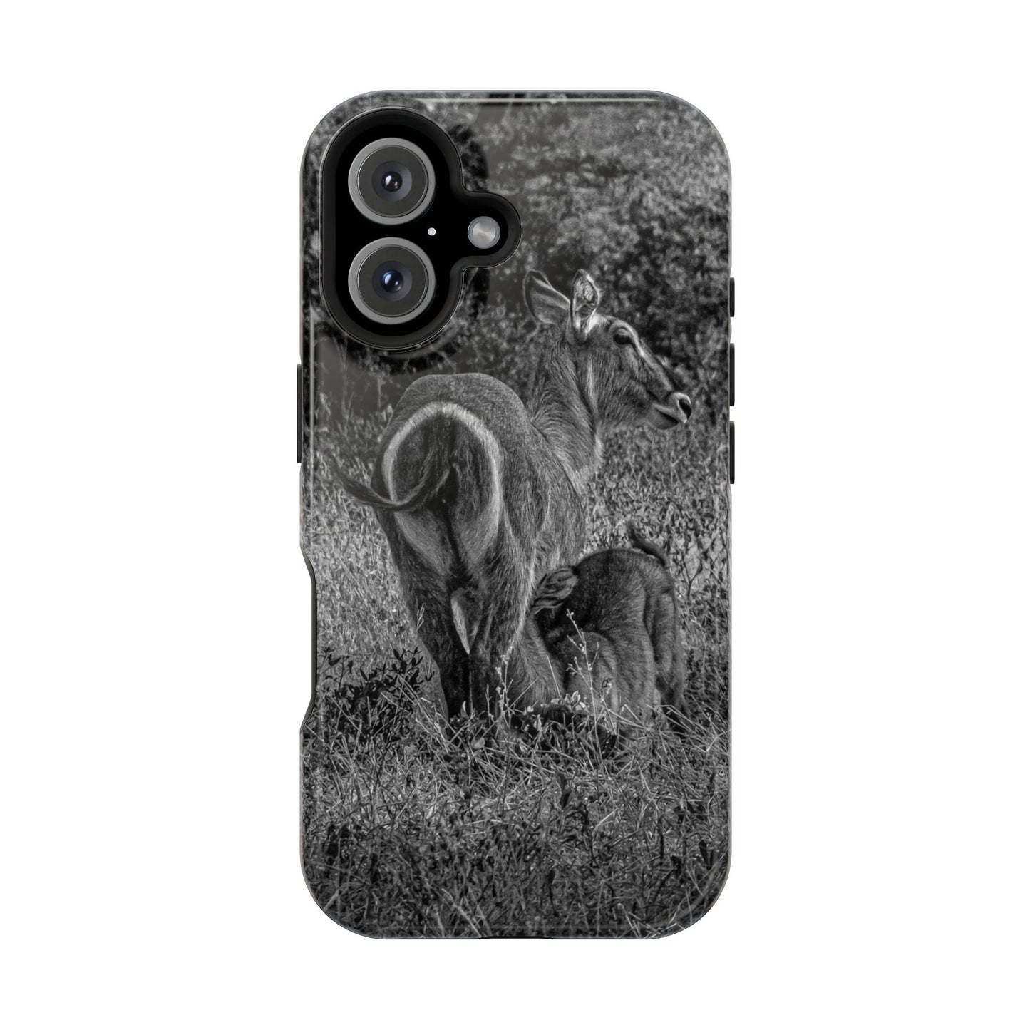 Waterbuck Baby Animal Phone Case - Magsafe B&W iPhone 16 Glossy