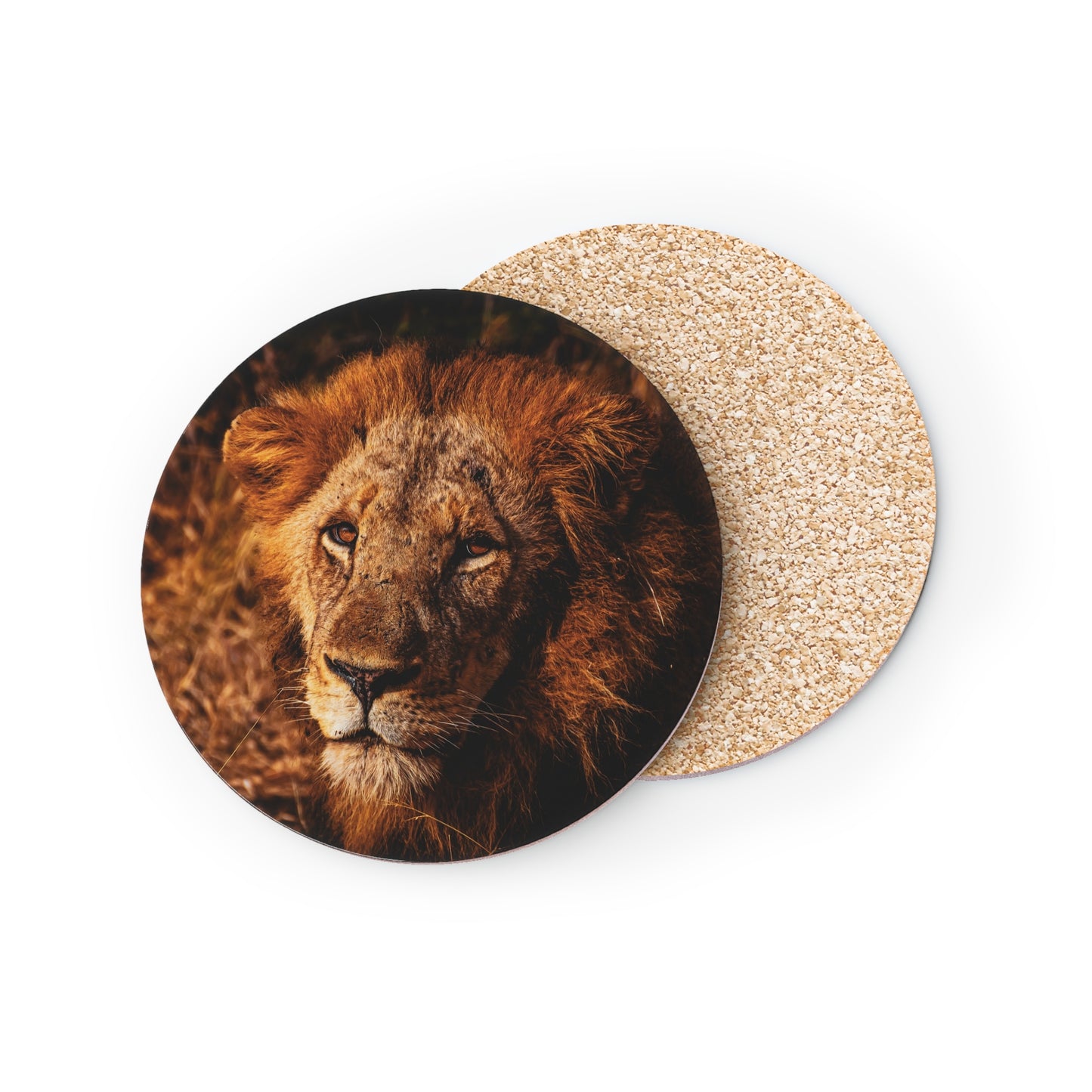 Male Lion Coasters Round 3.7" x 3.7" 1pc