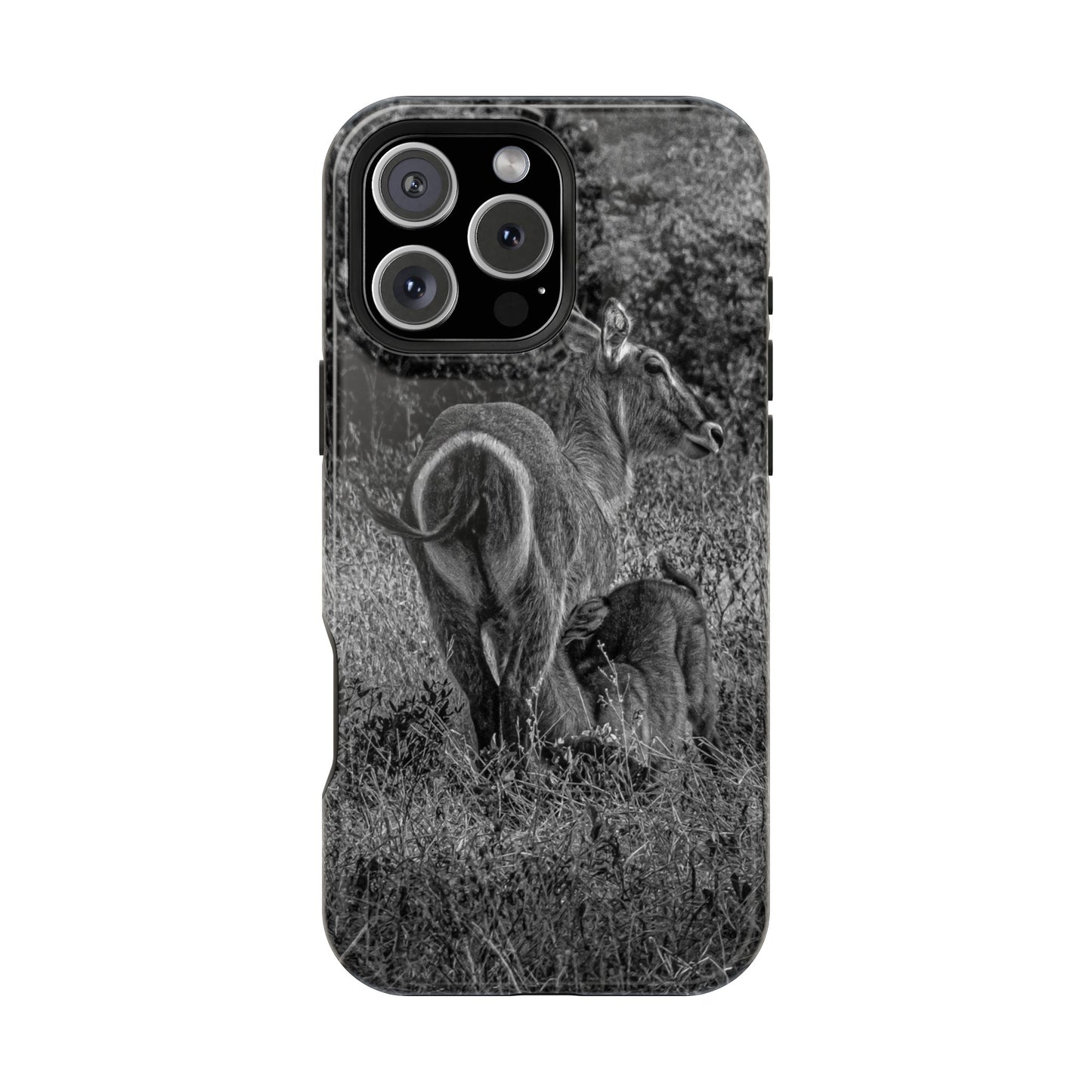 Waterbuck Baby Animal Phone Case - Magsafe B&W iPhone 16 Pro Max Glossy