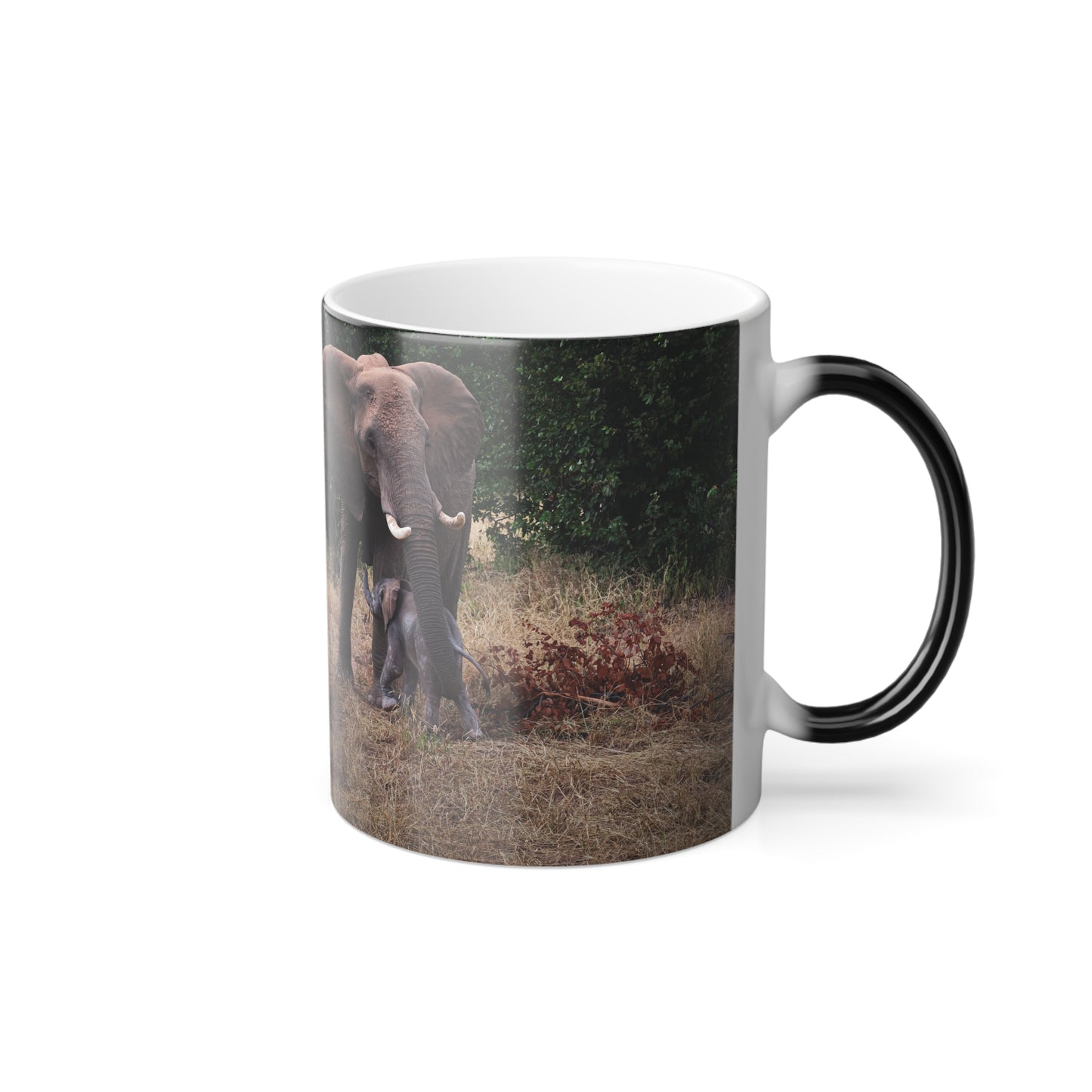 Colour Morphing Mug, 11oz - Elephant and Baby