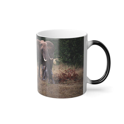 Colour Morphing Mug, 11oz - Elephant and Baby