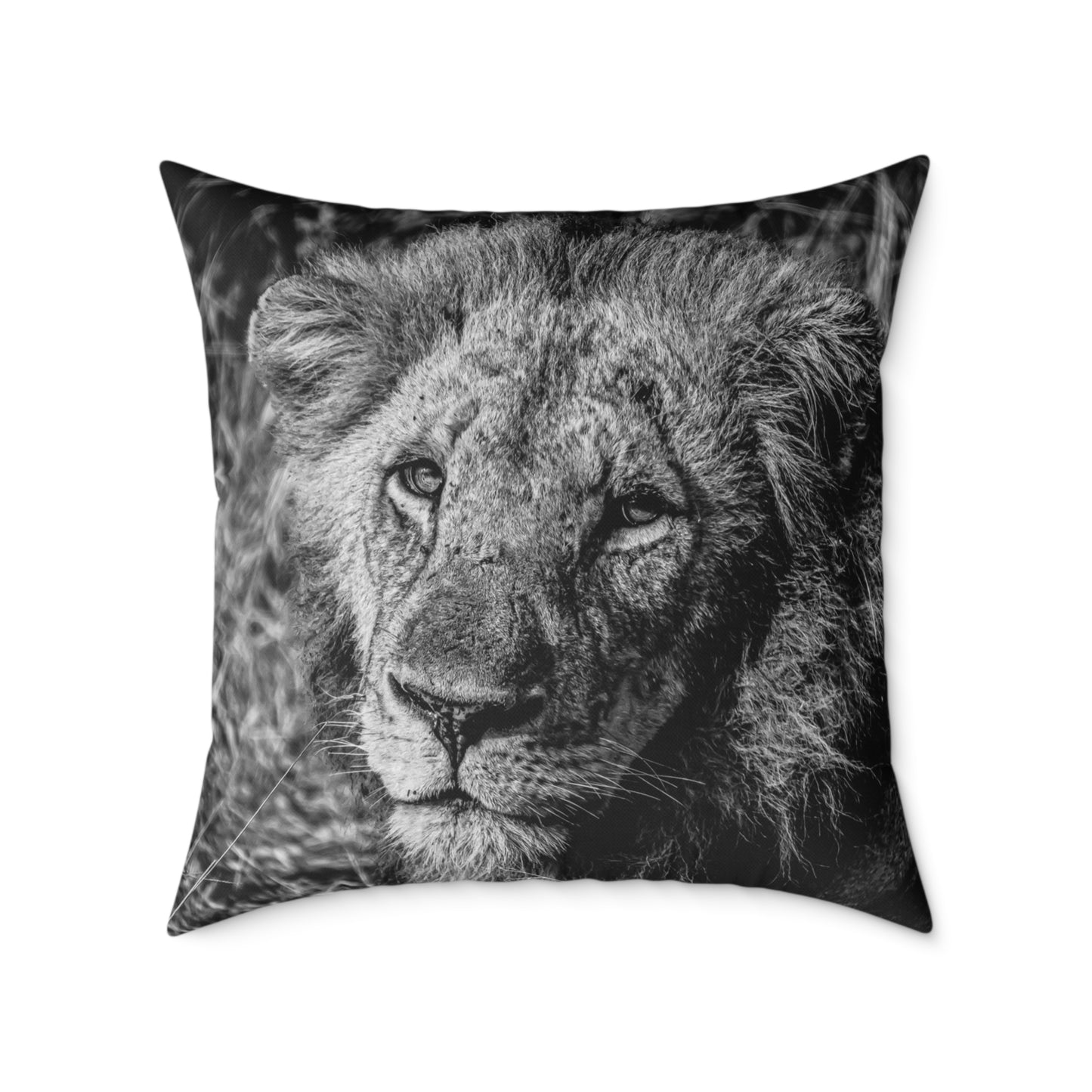 Old Lion Pillow B&W 26" × 26"