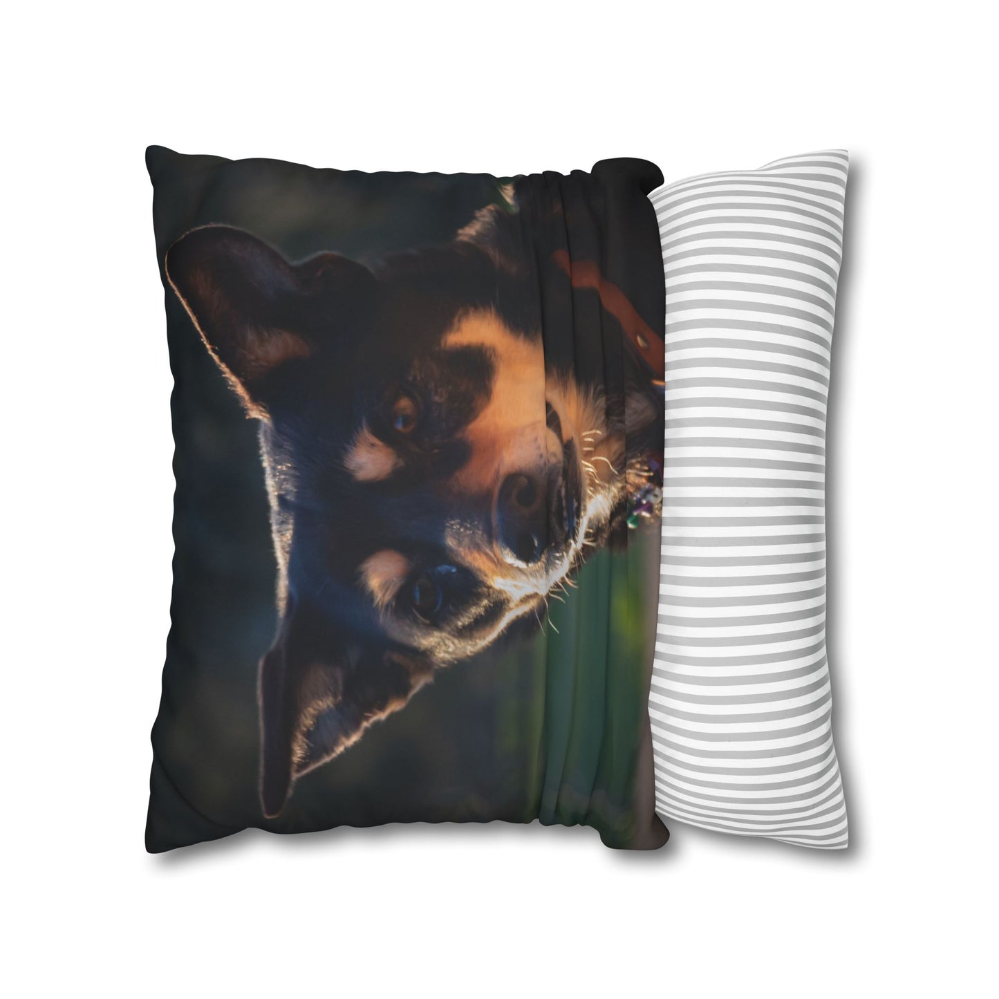 Poly Canvas Pillowcase - Saba the Kelpie