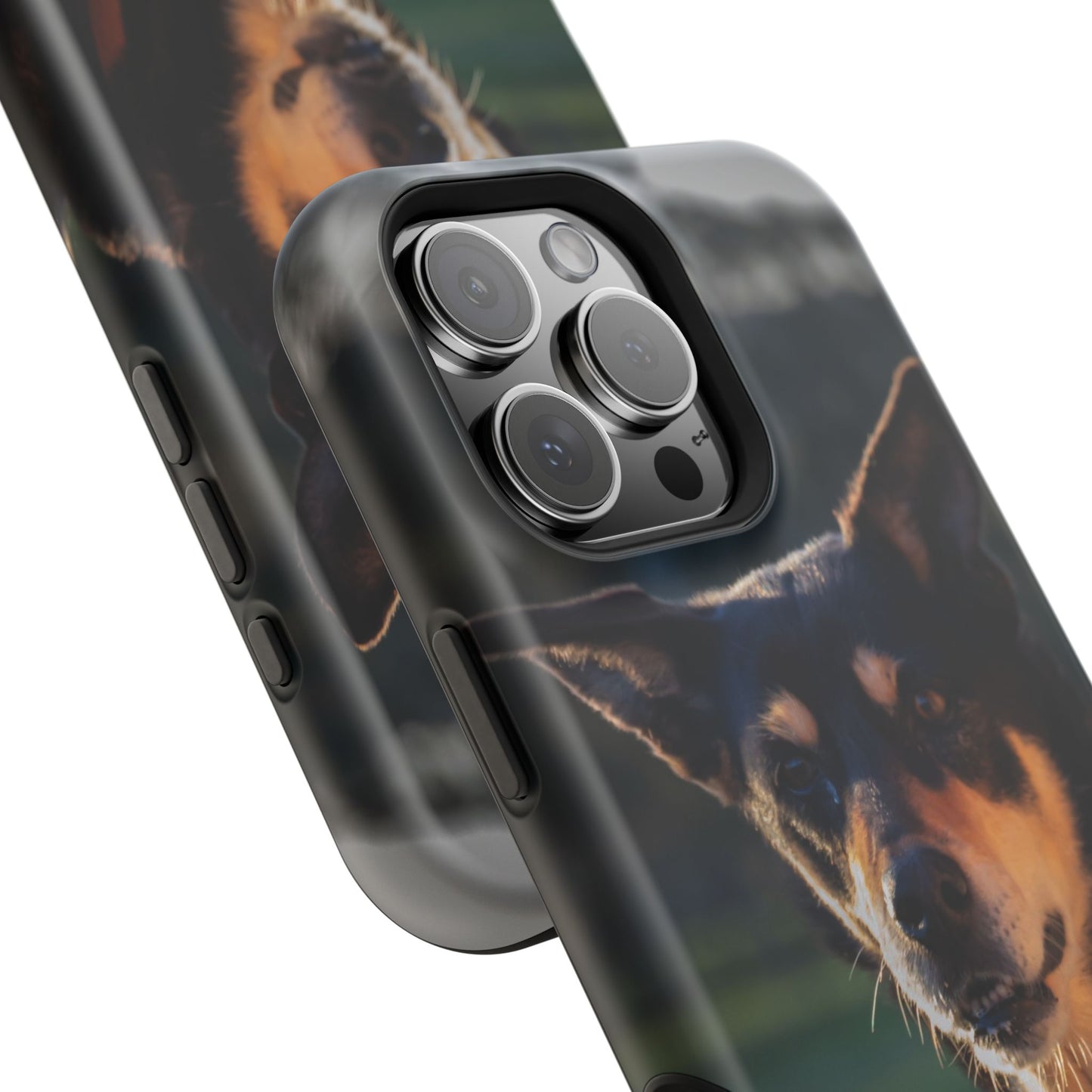 Magsafe® Compatible Tough Cases - Saba The Kelpie