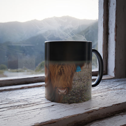 Colour Morphing Mug, 11oz - Scottish Highland Cattle