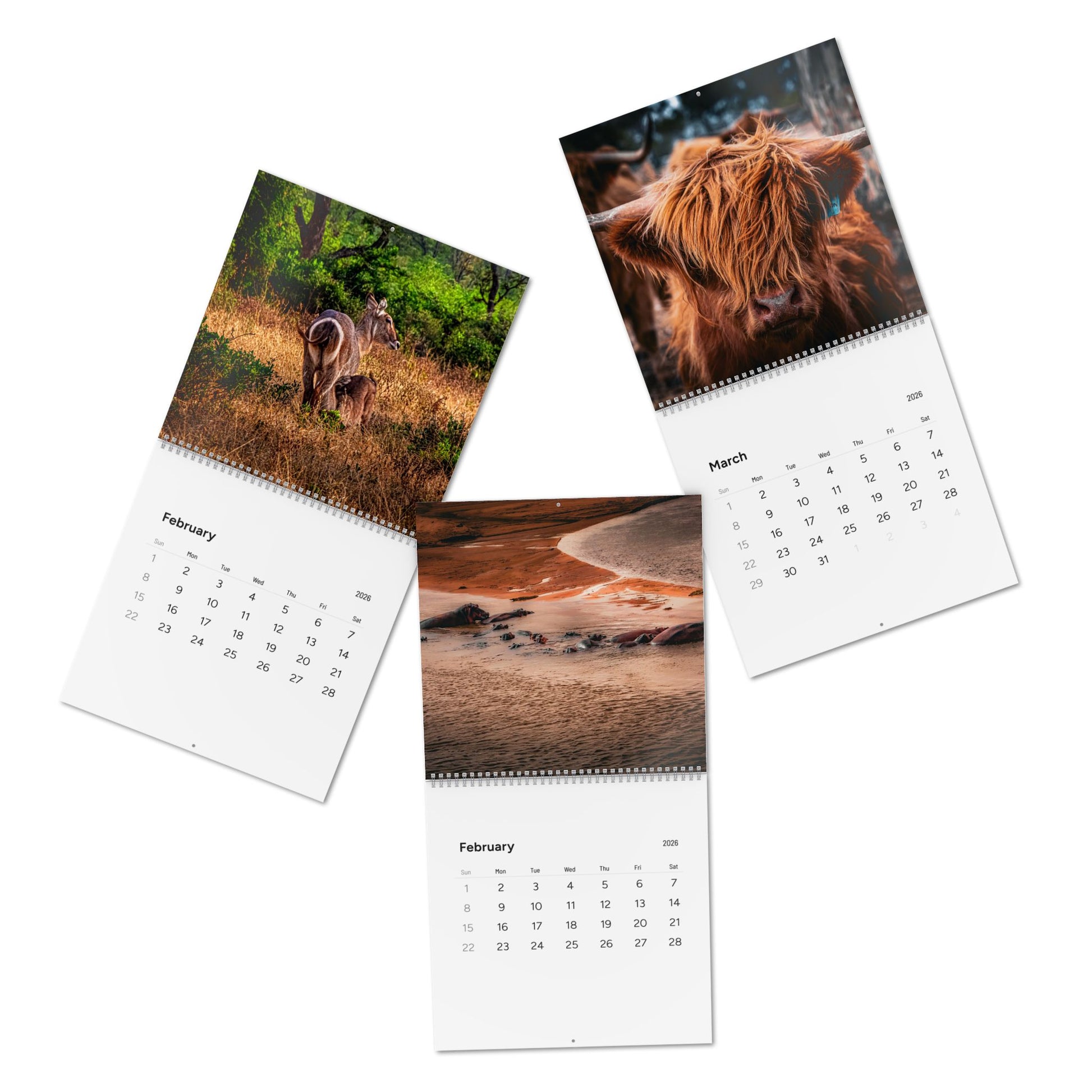 2026 Nature Wildlife Wall Calendar