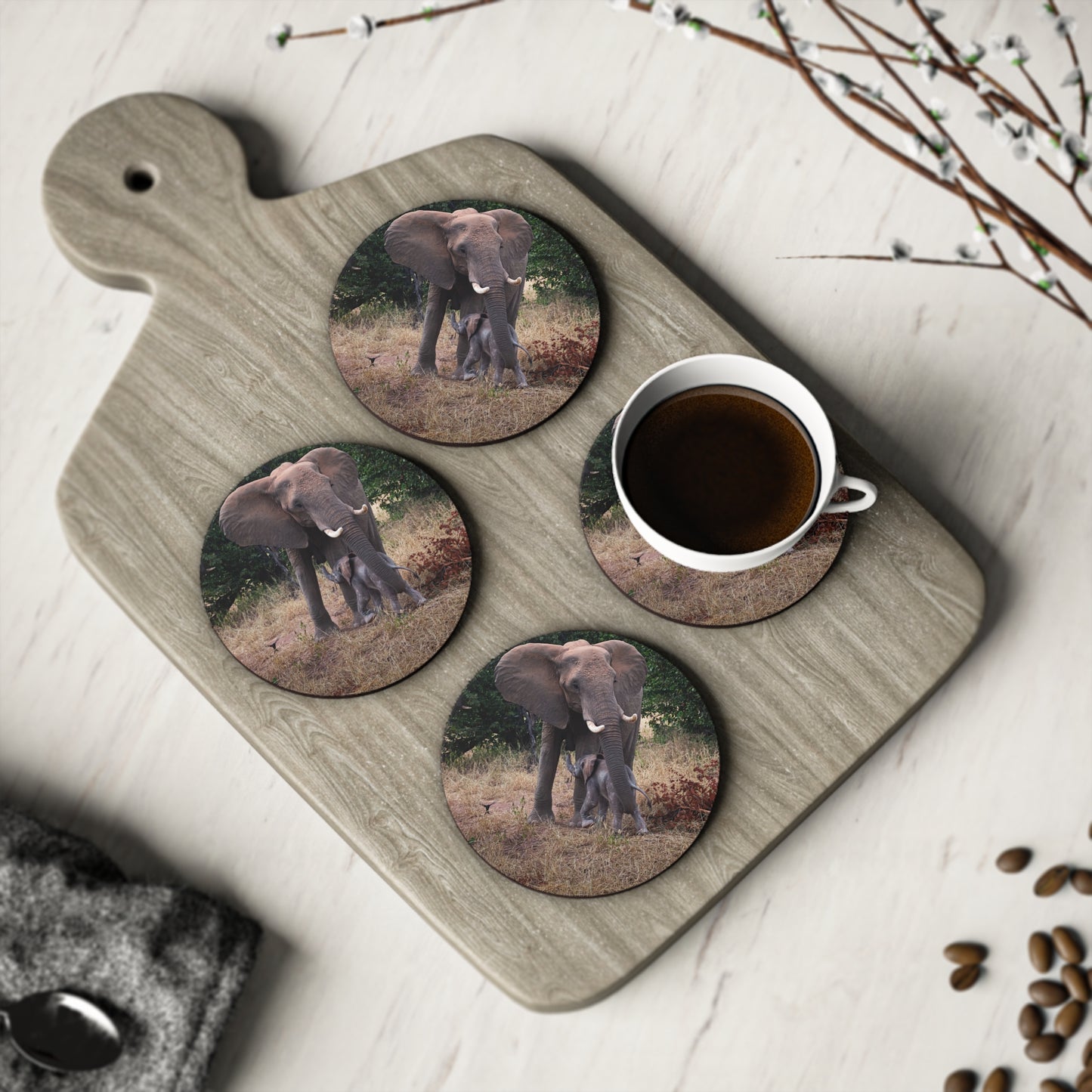 Calf Drinking Elephant Coasters