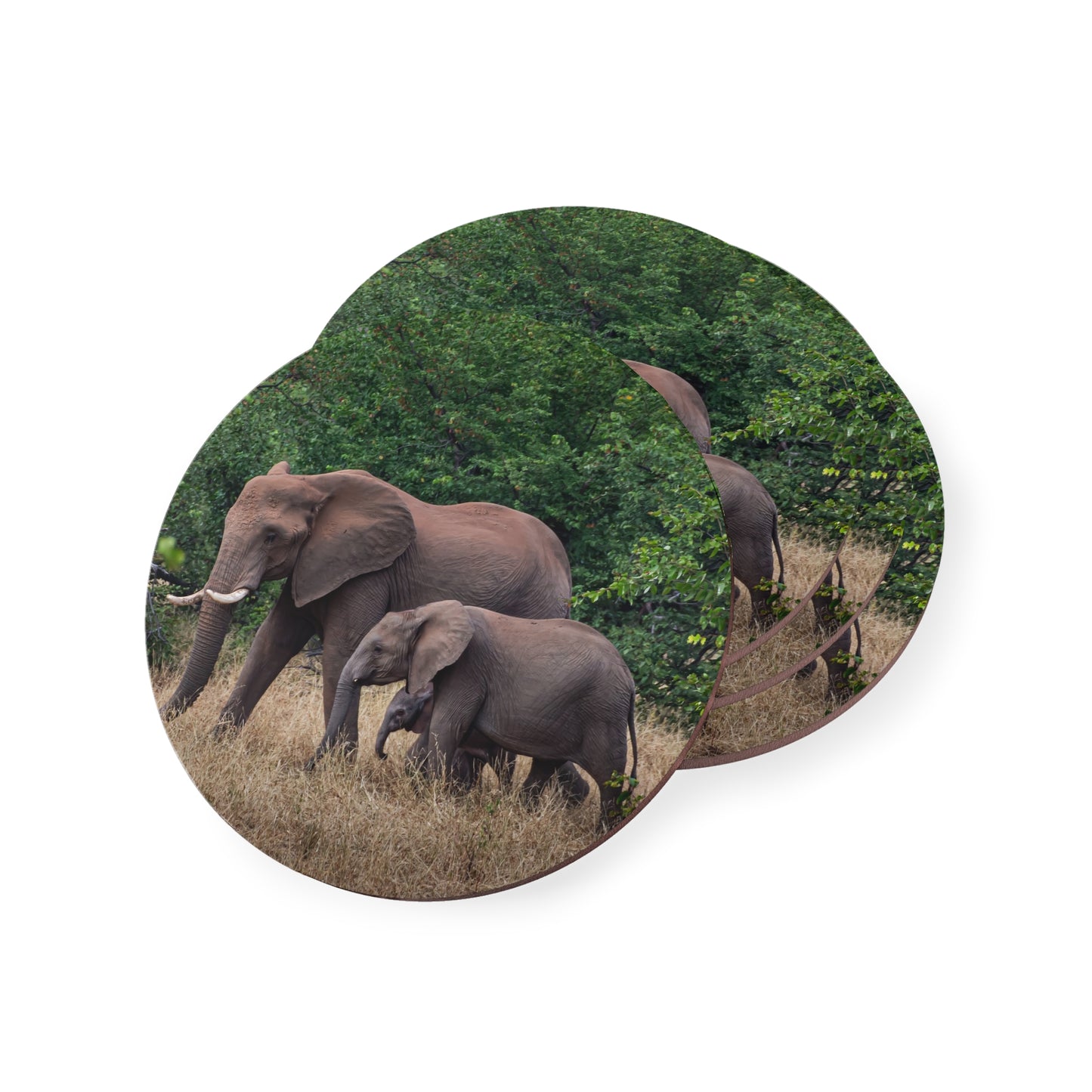 Family of Elephants Coasters Round 3.7" x 3.7" 4pcs