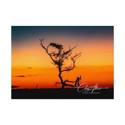 Rolled Posters - Sunset over the Kalahari 7" x 5" (Horizontal) Fine Art