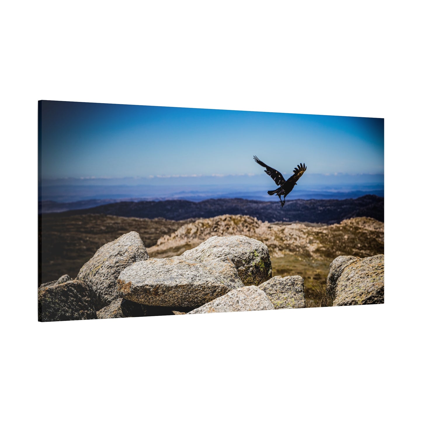 Little Raven Mt Kosciuszko Canvas Print