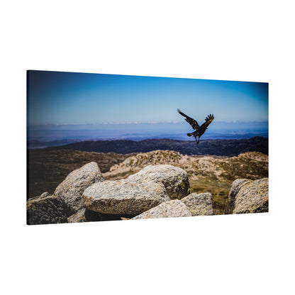 Little Raven Mt Kosciuszko Canvas Print