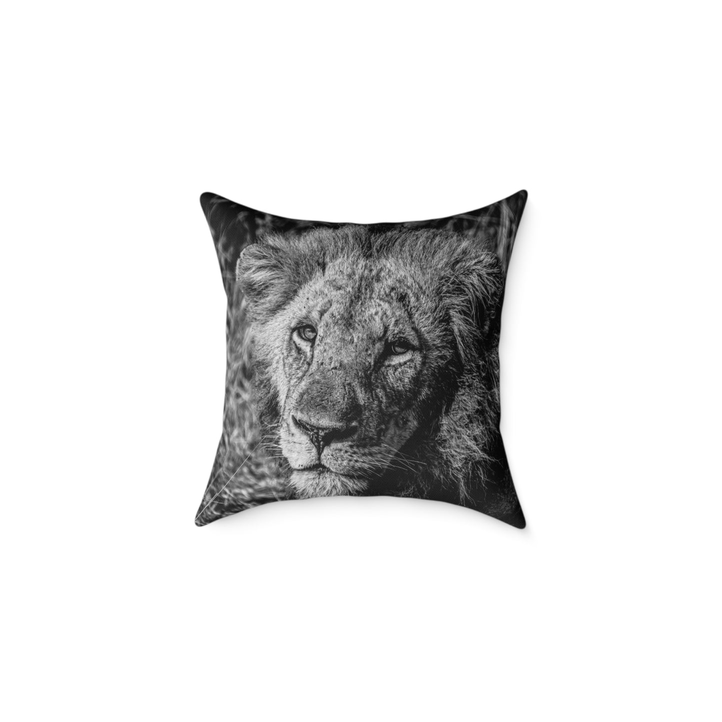 Old Lion Pillow B&W 18" × 18"