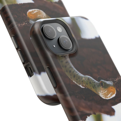 Magsafe® Compatible Tough Cases - Spotted Bush Snake