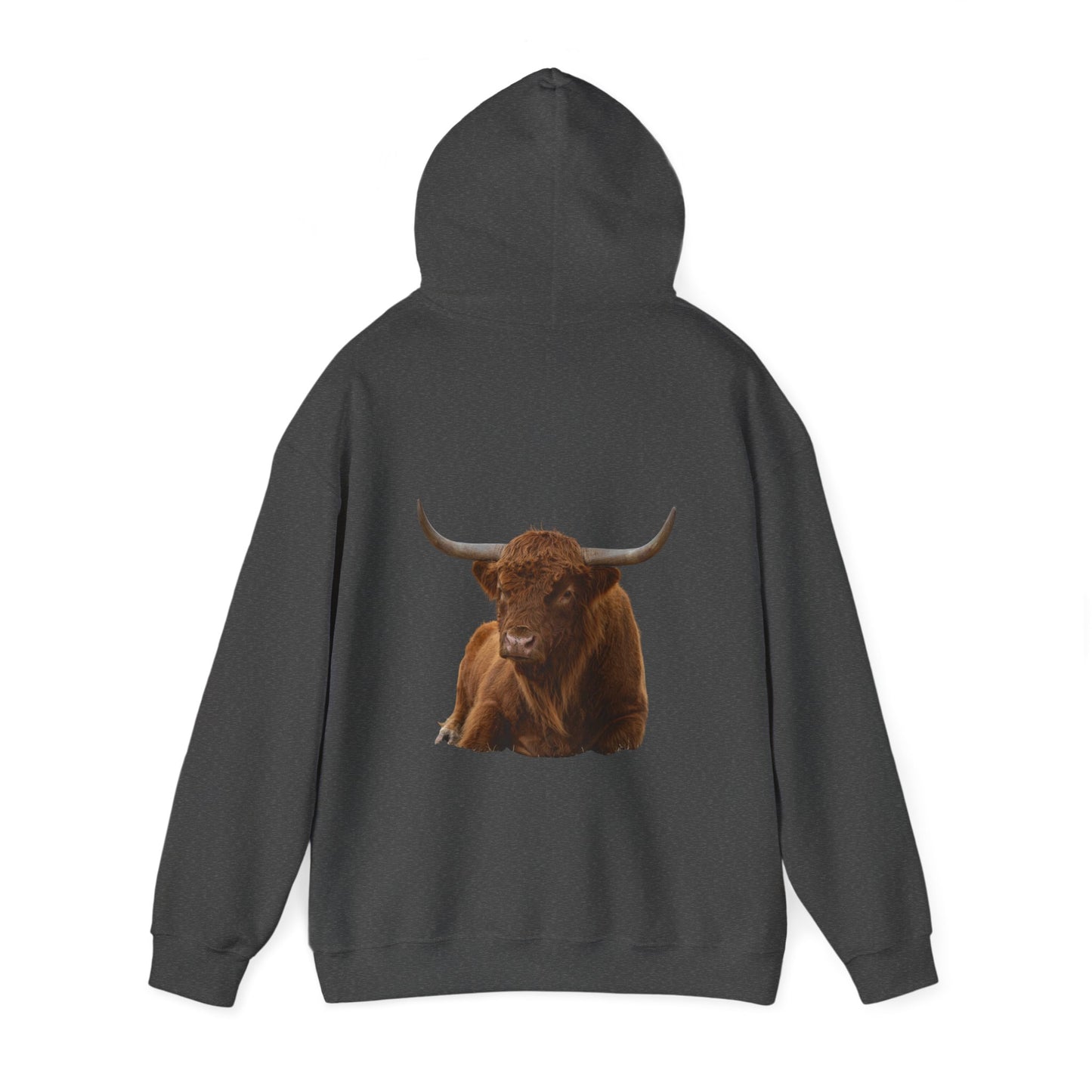 Highland Cattle Hoodie