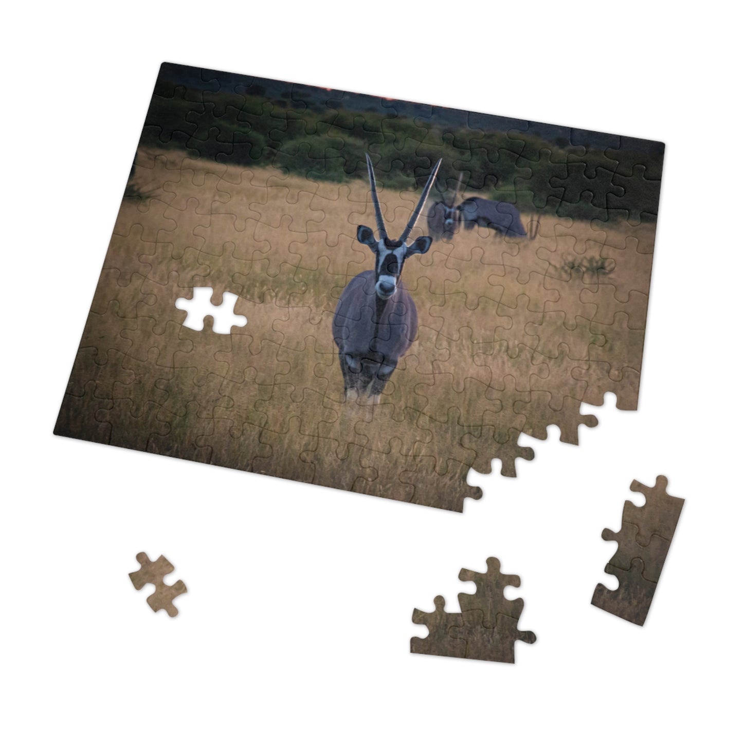 Jigsaw Puzzle (30, 110, 252, 500 Piece) - Gemsbok