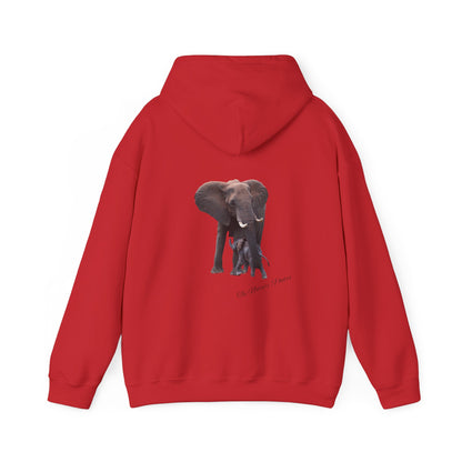 Baby Elephant Hoodie