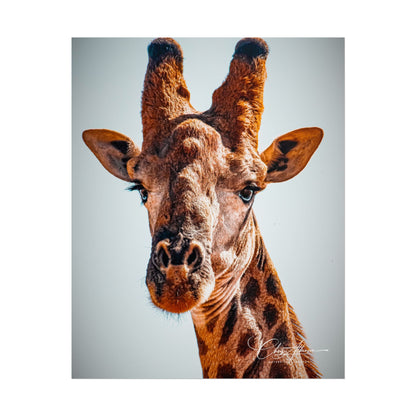 Portrait of Giraffe Poster 8″ x 10″ (Vertical) Matte