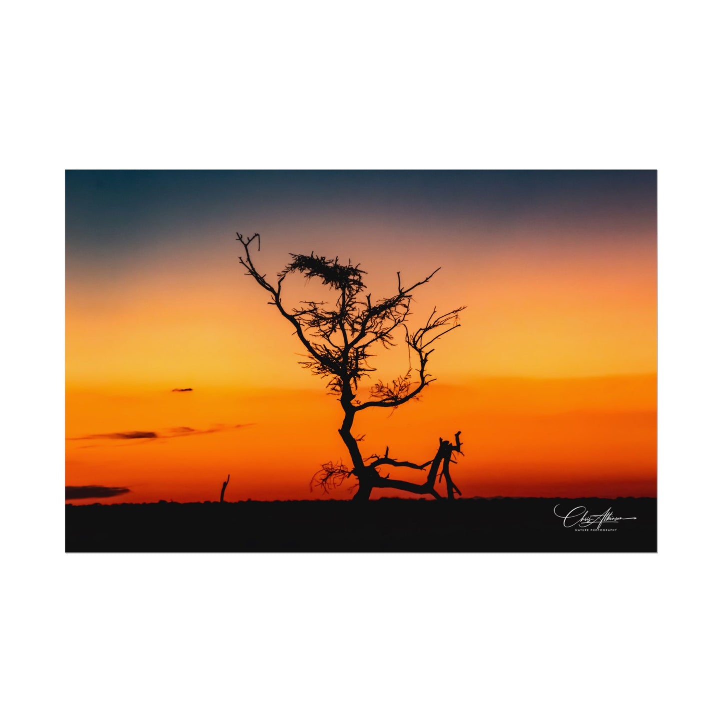 Rolled Posters - Sunset over the Kalahari