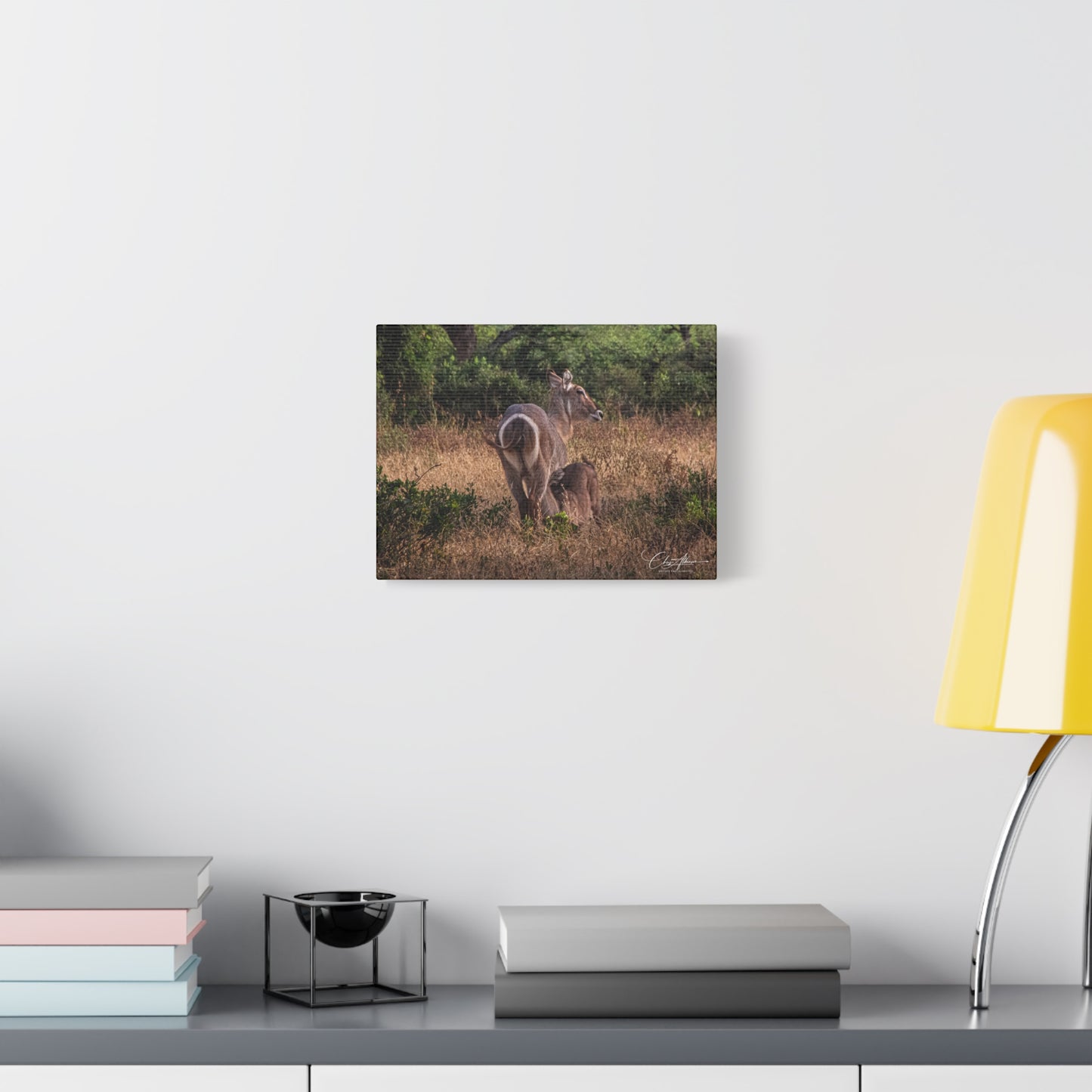 Matte Canvas, Stretched, 1.25" - Waterbuck and Baby