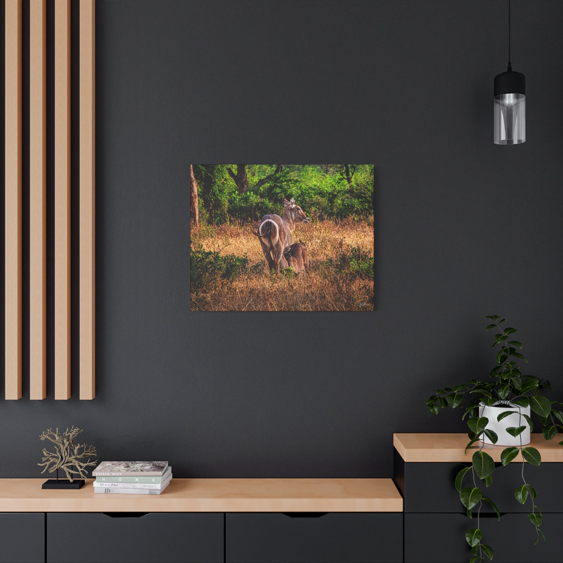 Waterbuck Nature Prints Matte Canvas