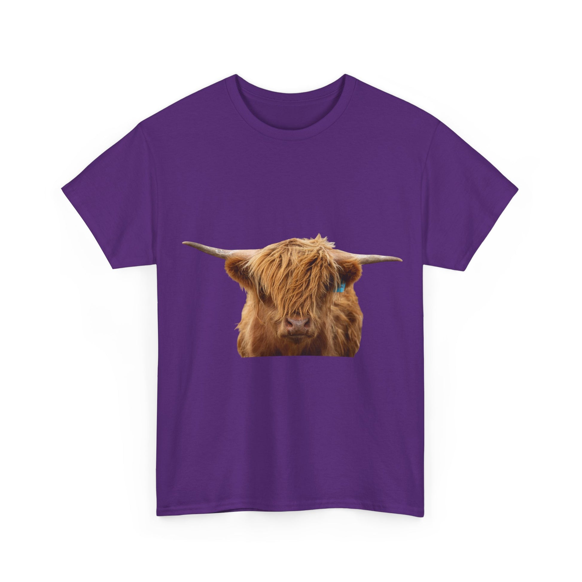 Highland Cow Tee