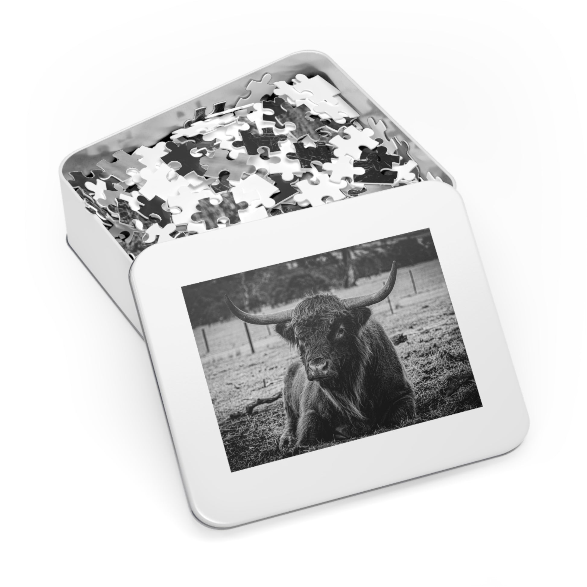 Scottish Highland Cattle Puzzle with Tin B&W