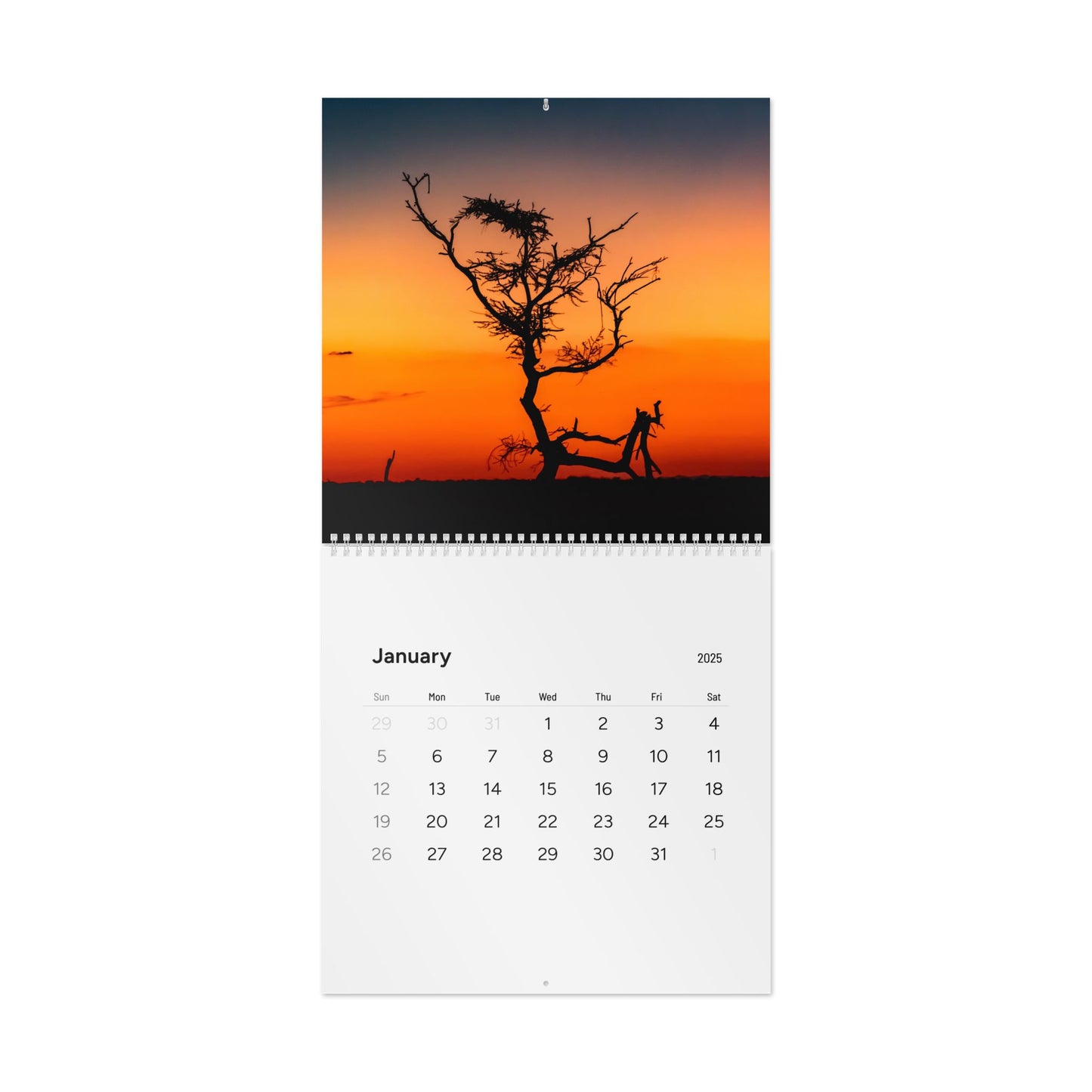 2025 Nature Wildlife Wall Calendar