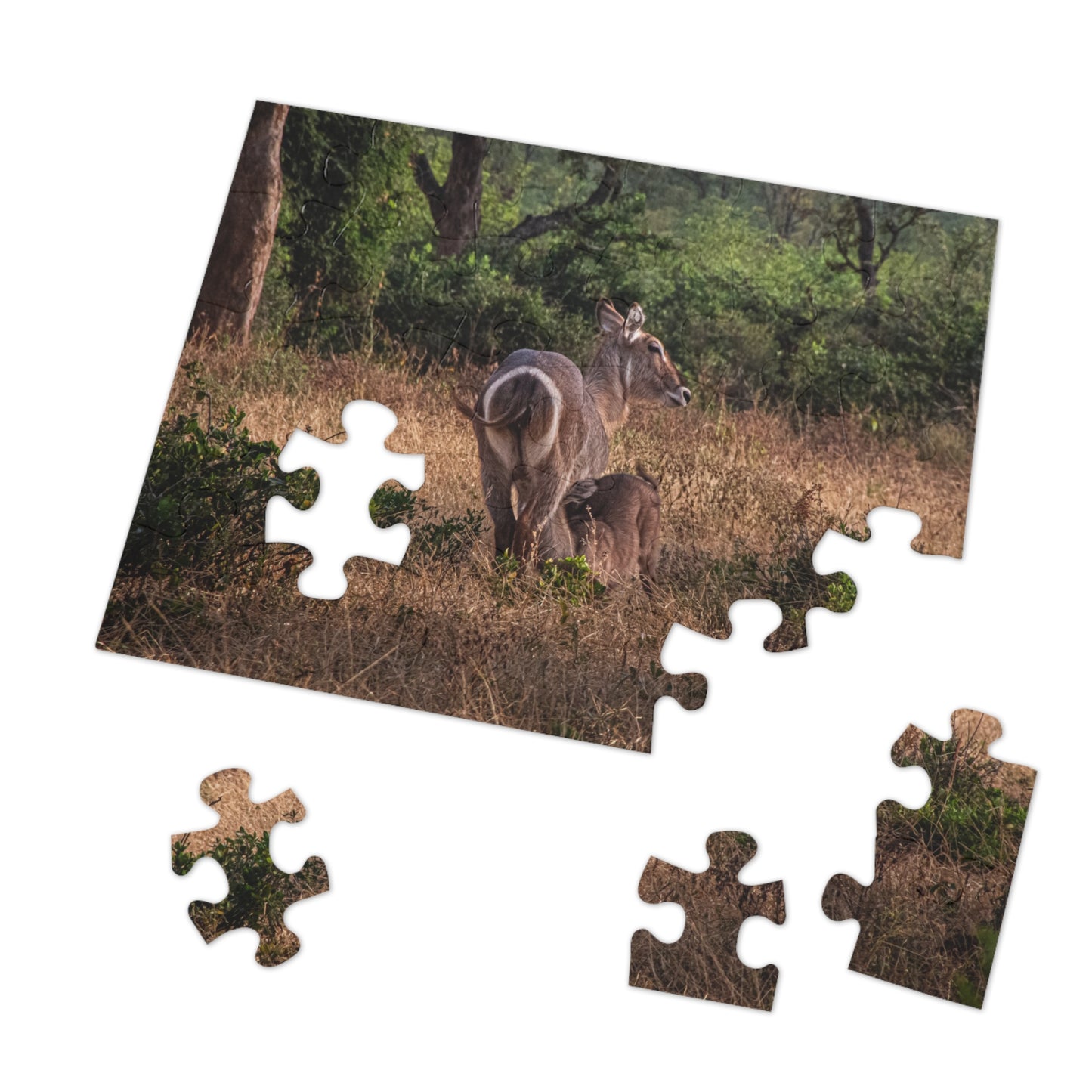 Jigsaw Puzzle (30, 110, 252, 500, 1000 Piece) - Waterbuck and Baby