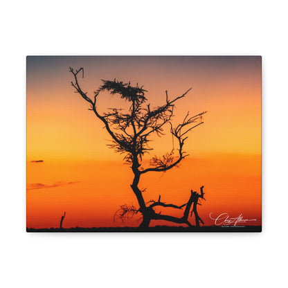 Matte Canvas, Stretched, 1.25" - Sunset over the Kalahari