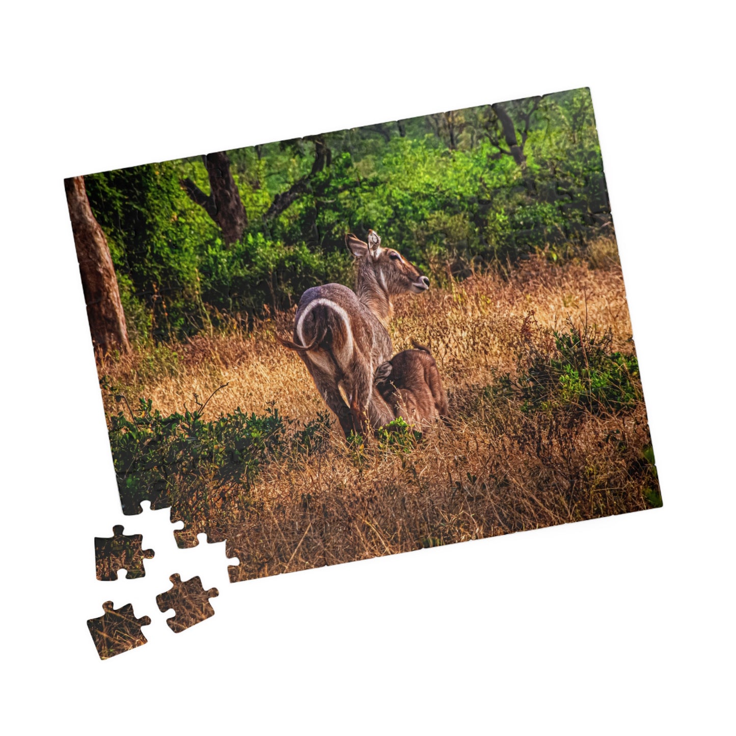 Waterbuck Photo Jigsaw Puzzle