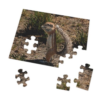 Jigsaw Puzzle (30, 110, 252, 500, 1000 Piece) - Ground Squirrel