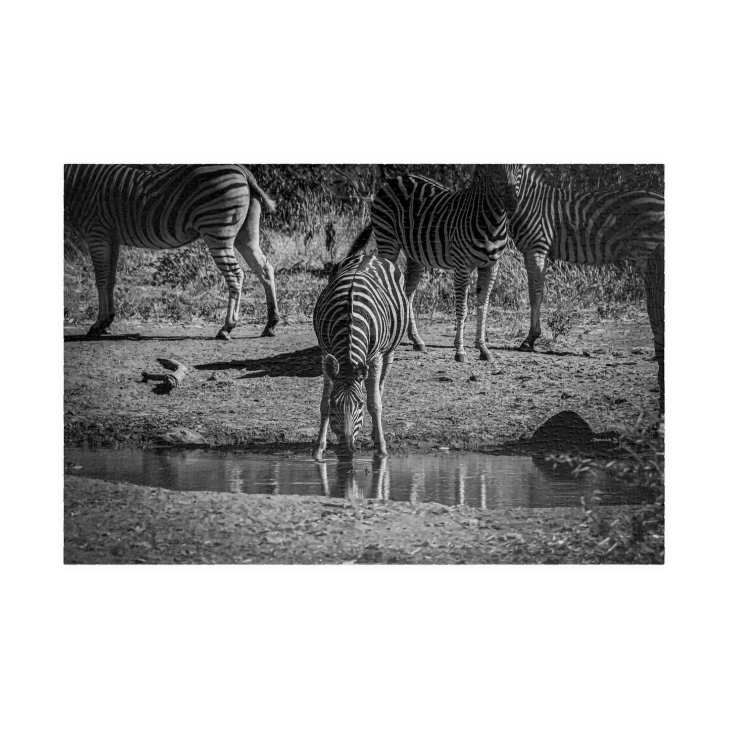 African Zebra Jigsaw Puzzle B&W