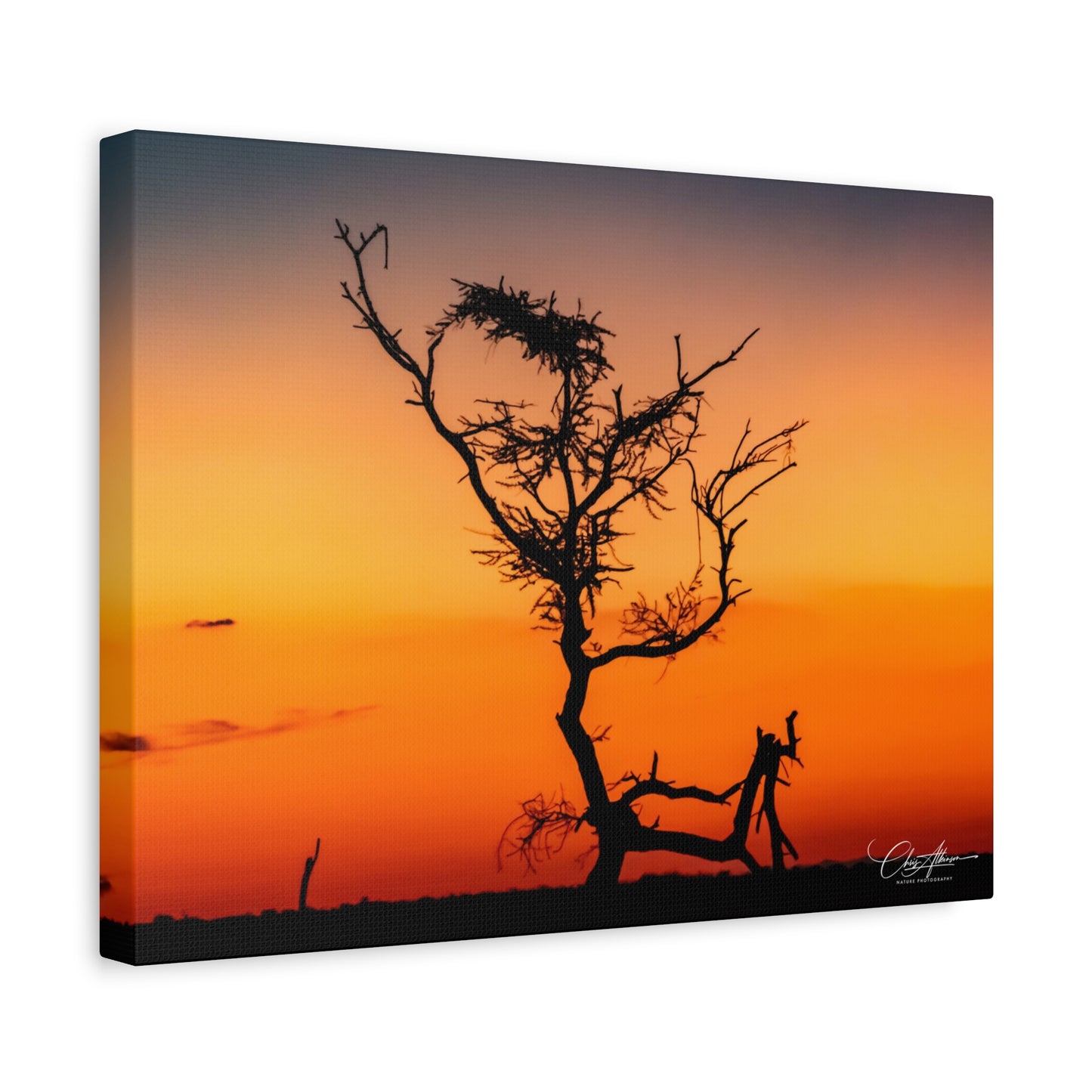 Matte Canvas, Stretched, 1.25" - Sunset over the Kalahari