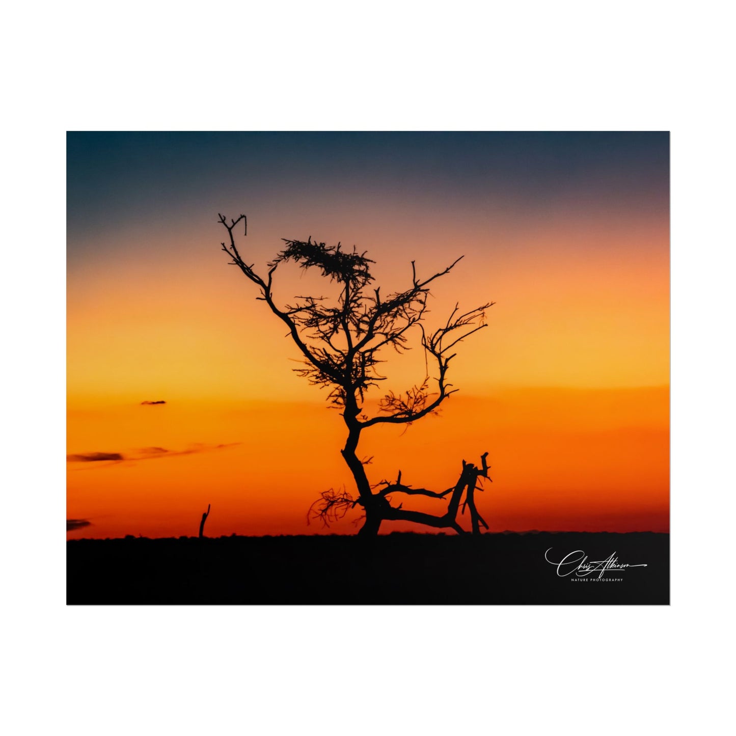 Rolled Posters - Sunset over the Kalahari