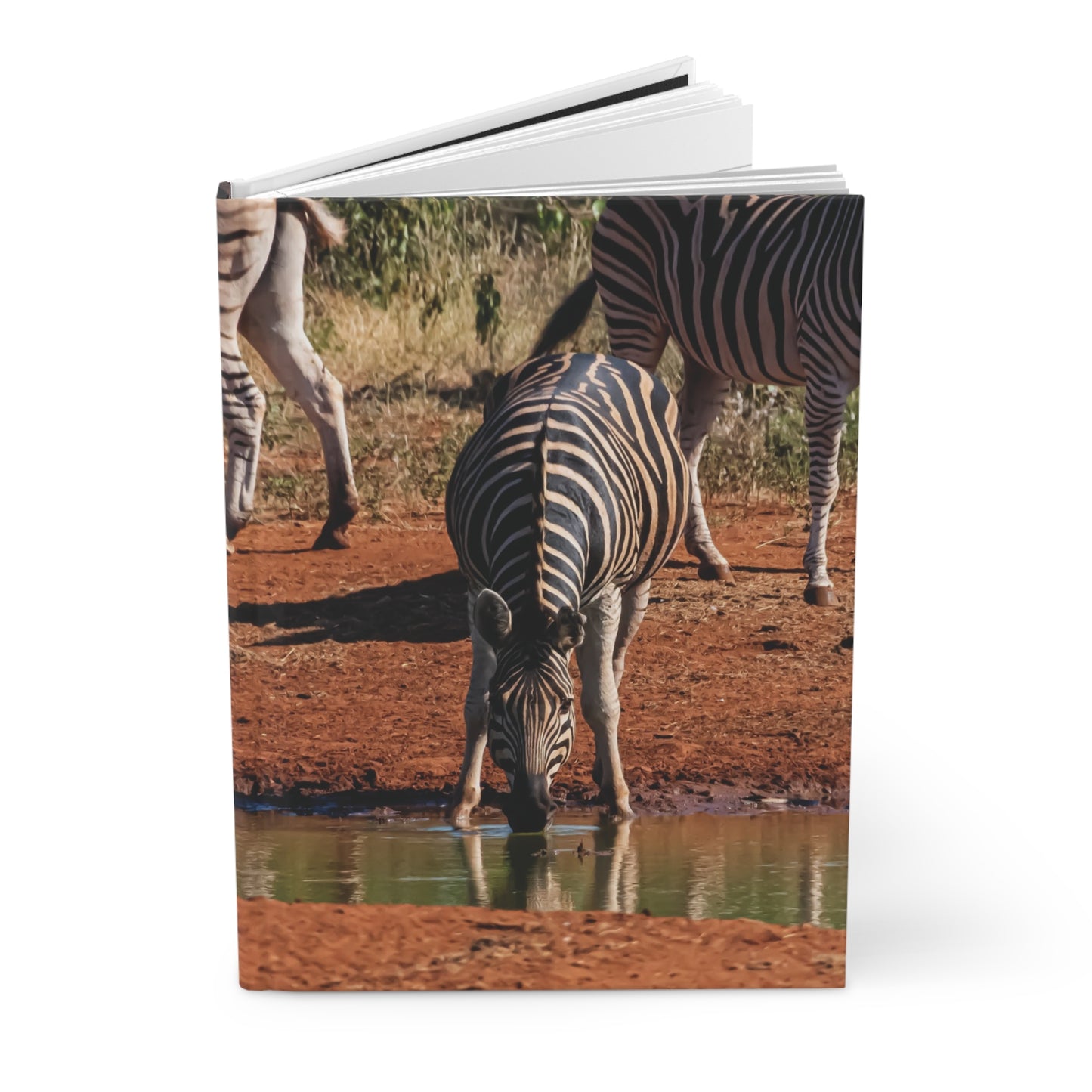 Hardcover Journal Matte - Zebra Drinking