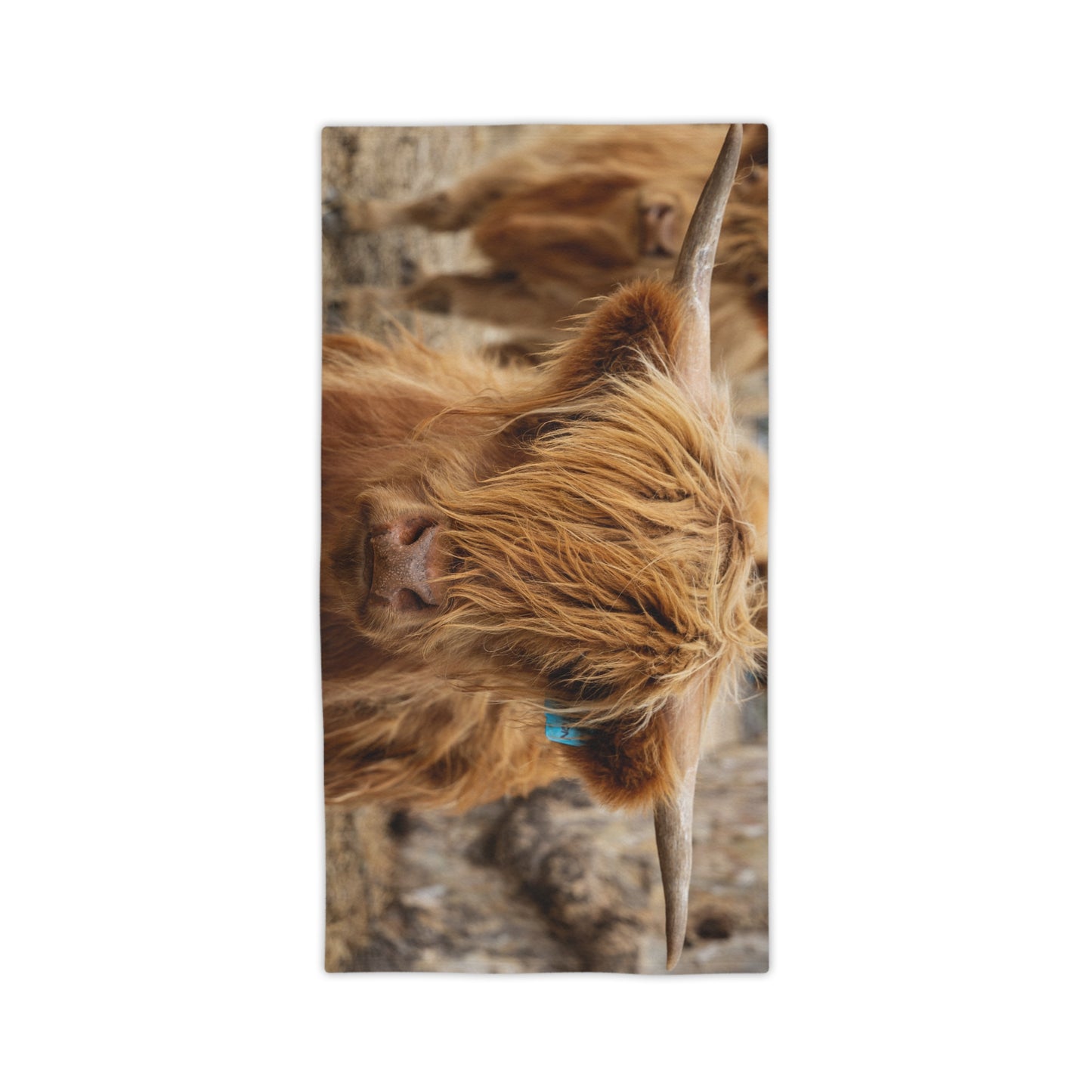 Scottish Highland Beach Towels 24" x 44"