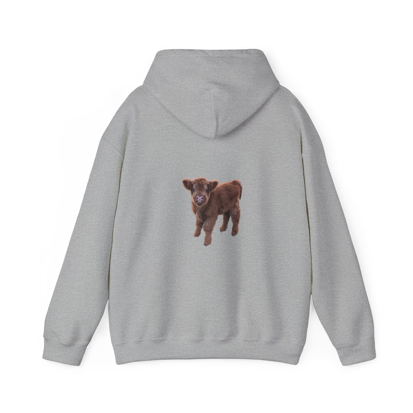 Highland Calf Hoodie
