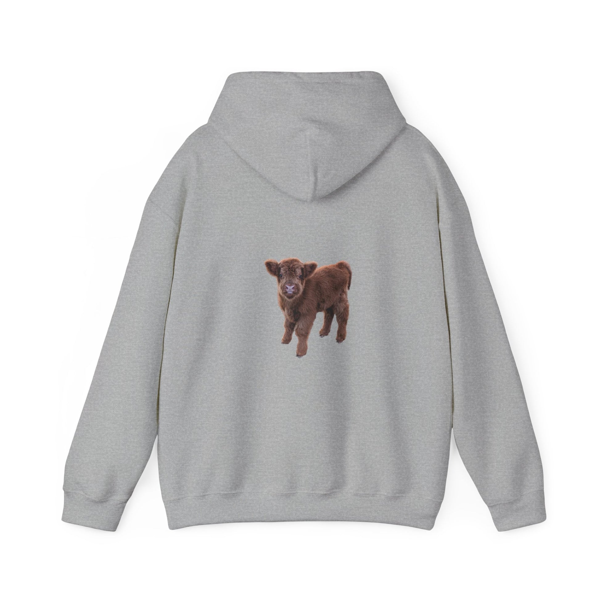 Highland Calf Hoodie