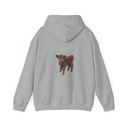 Highland Calf Hoodie