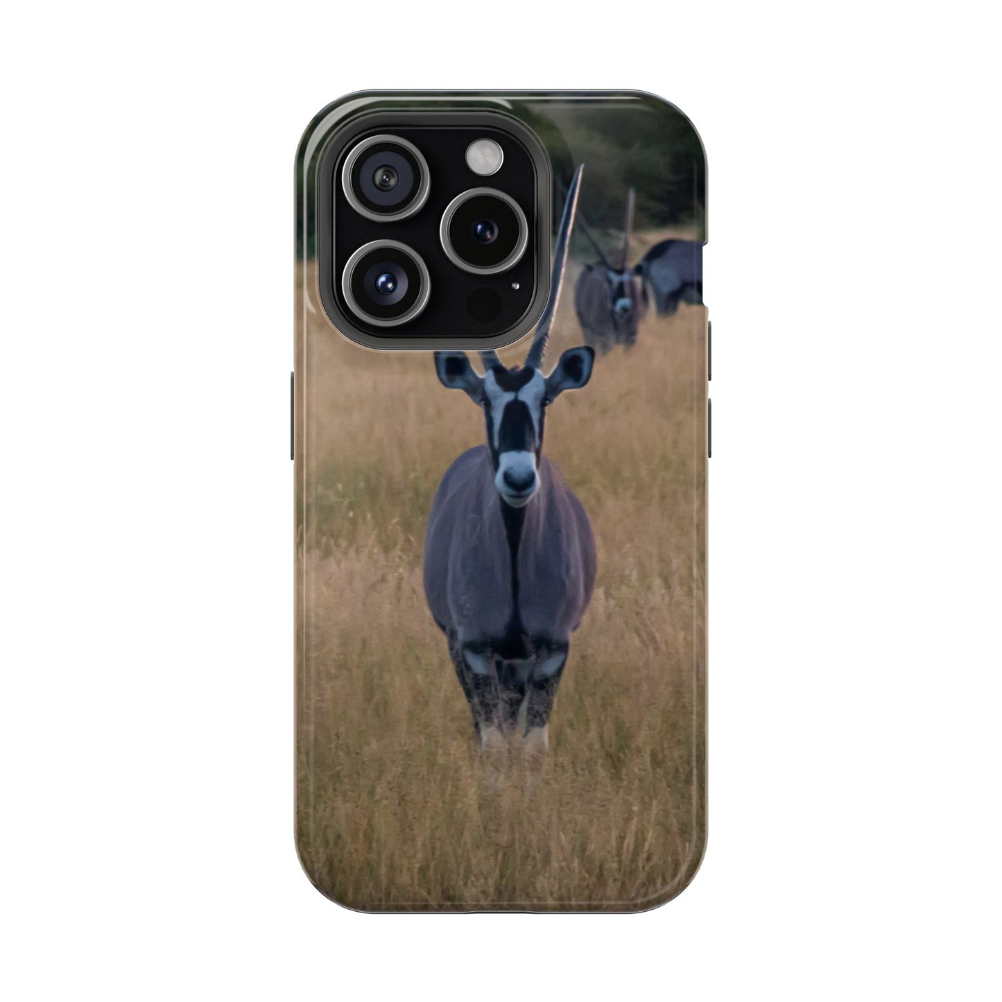 Gemsbok Oryx Magsafe Case iPhone 15 Pro Glossy