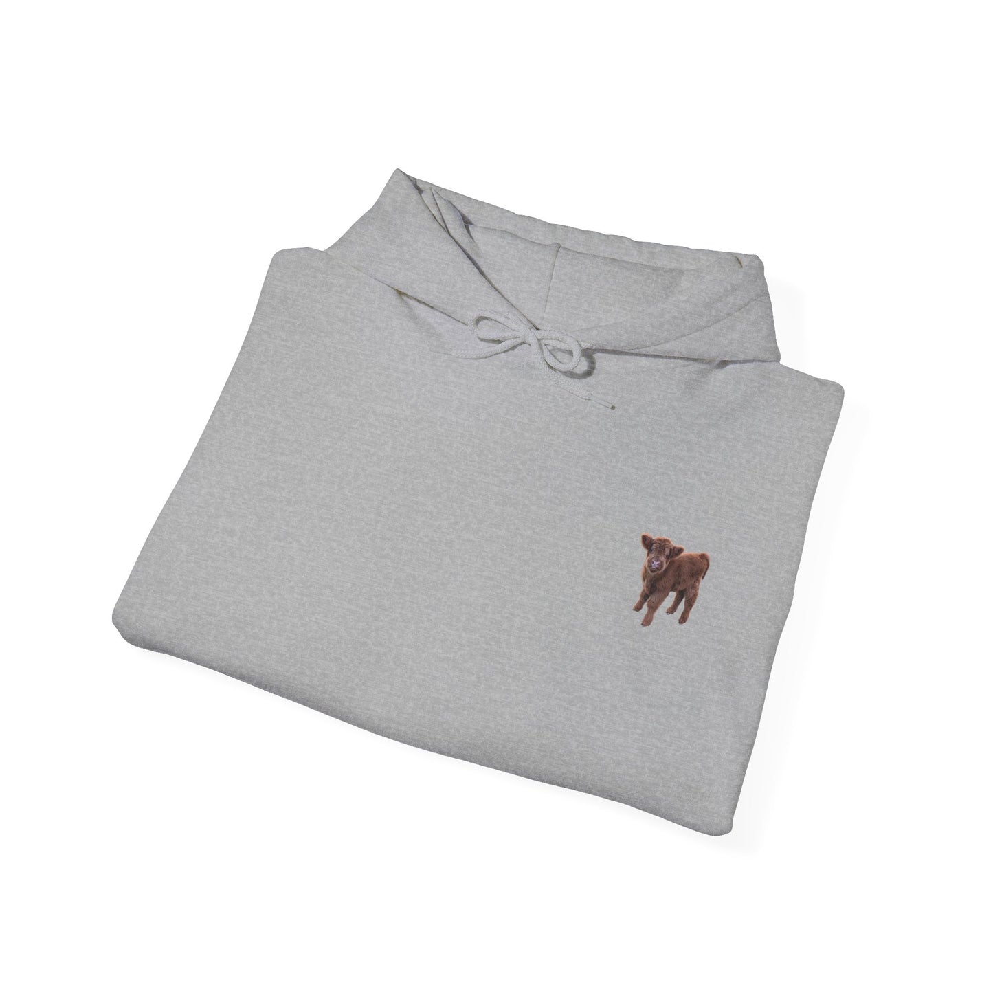 Highland Calf Hoodie
