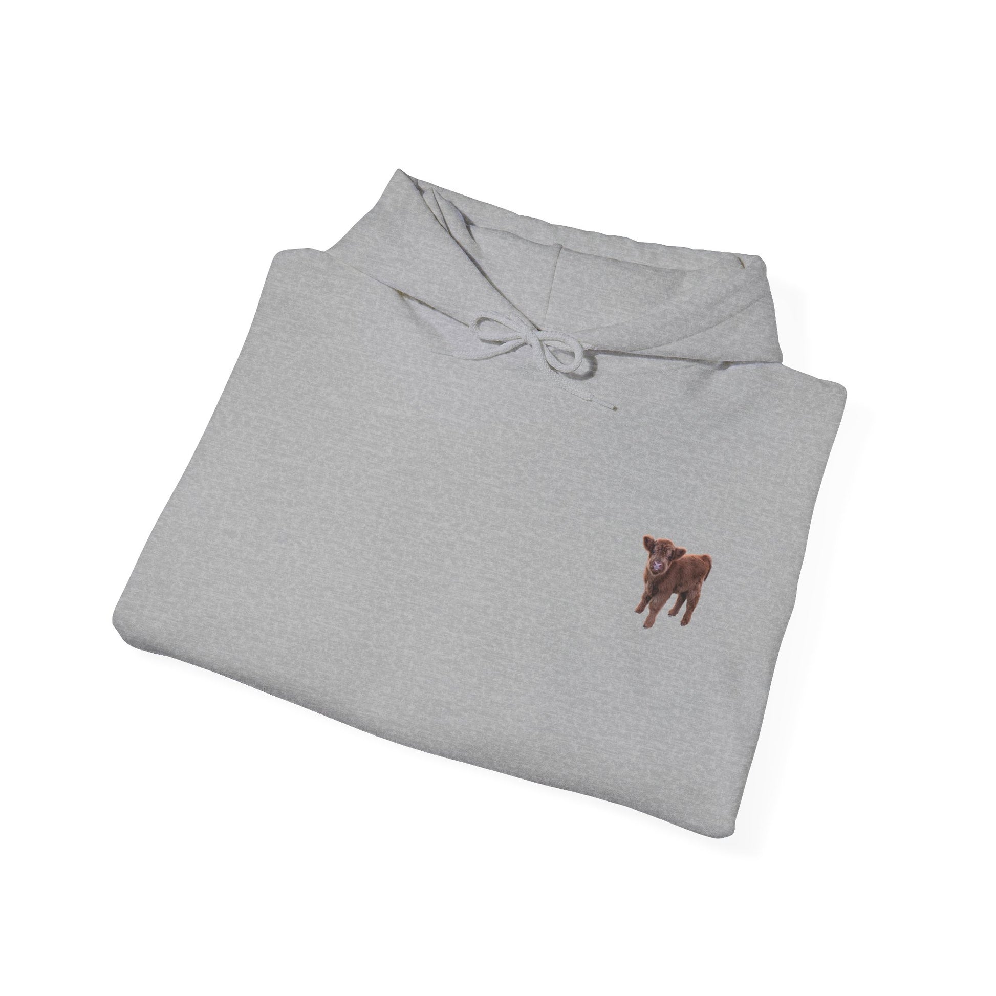 Highland Calf Hoodie