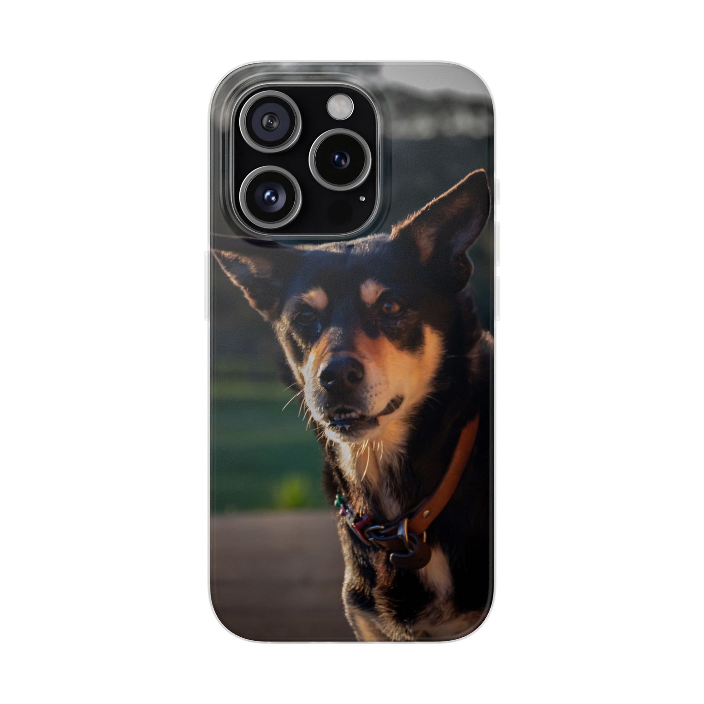 Kelpie Dog Flexi Case iPhone 15 Pro