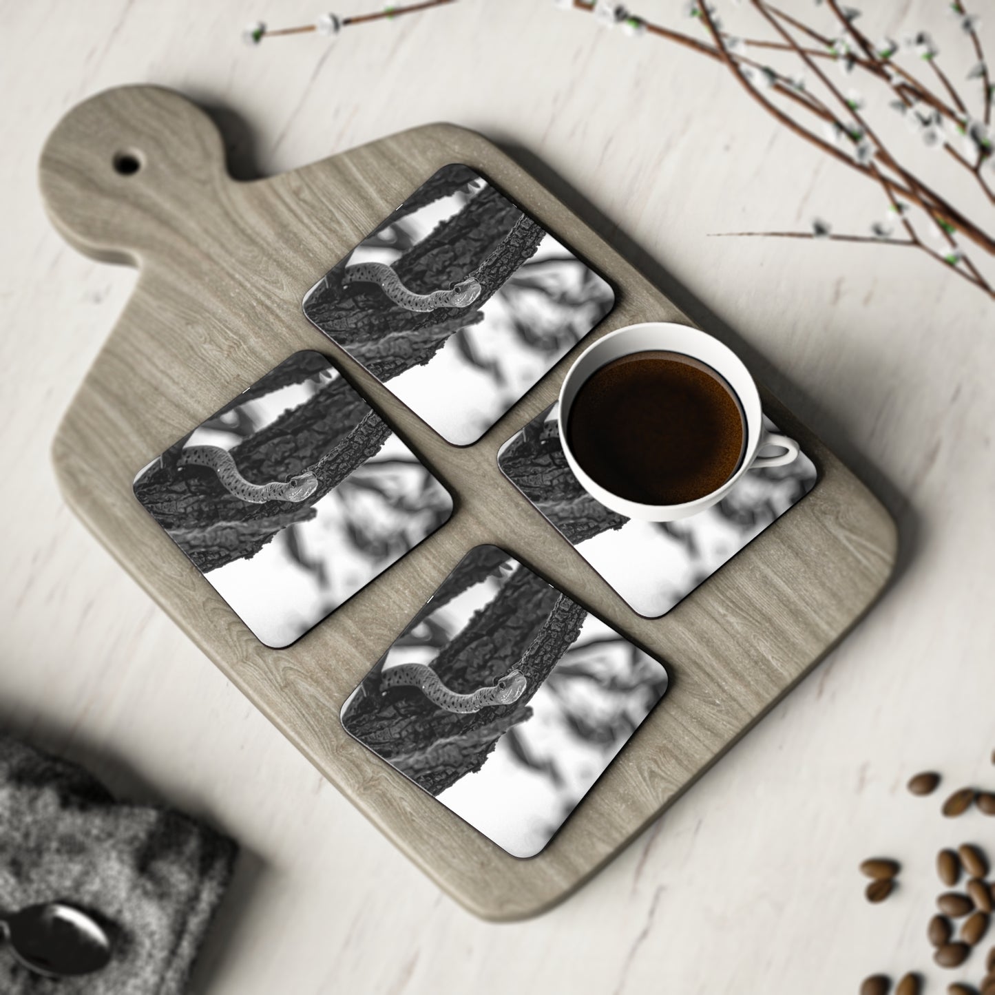 Spotted Bush Snake Coasters B&W