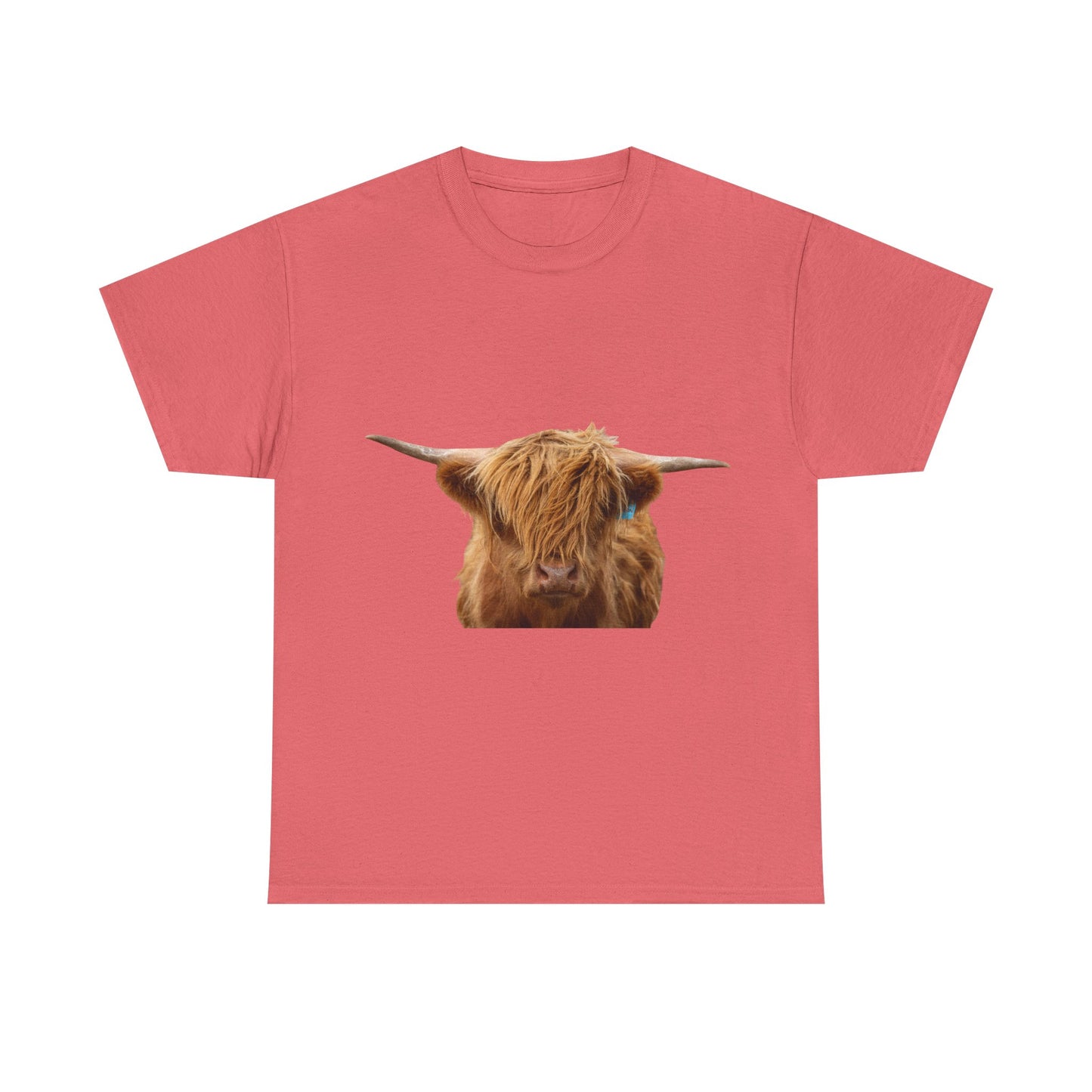 Highland Cow Tee Coral Silk
