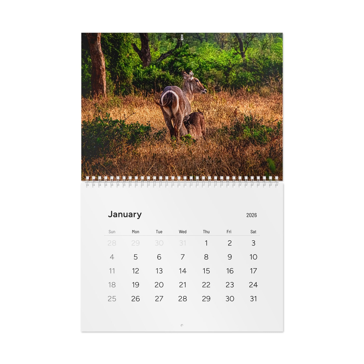 2026 Nature Wildlife Wall Calendar 11" x 8.2" Matte