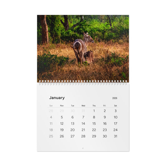 2026 Nature Wildlife Wall Calendar 11" x 8.2" Matte