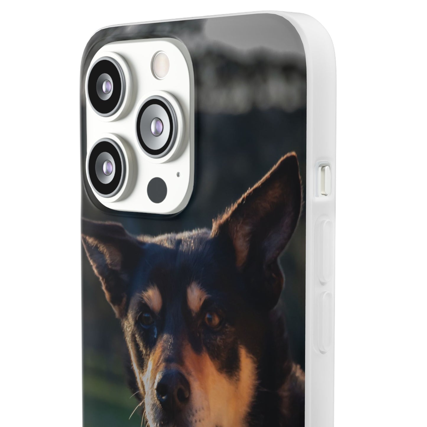 Flexi Cases - Saba the Kelpie